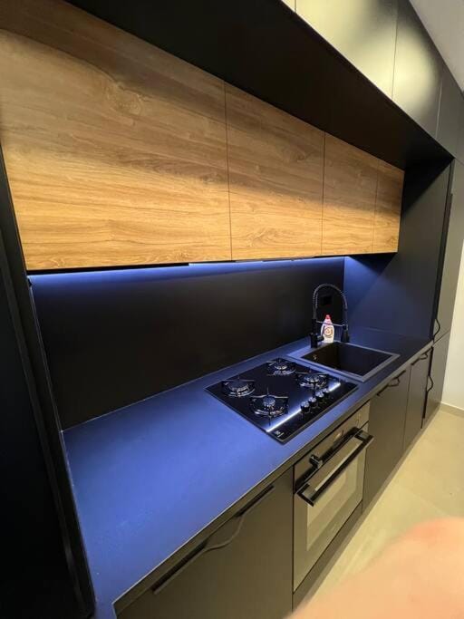 Urban Plaza Business Apartment Apartment in Brasov