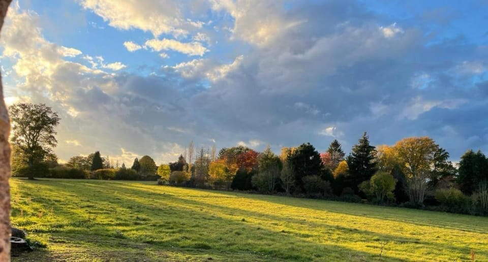 Belle vue Apartment in Auvergne-Rhône-Alpes