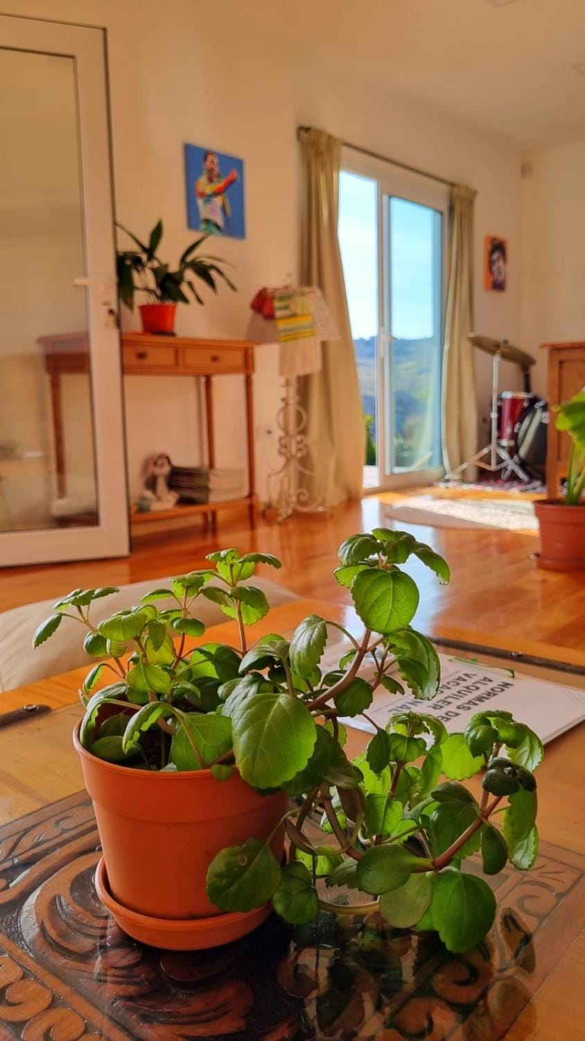Casa Yenú House in Tandil