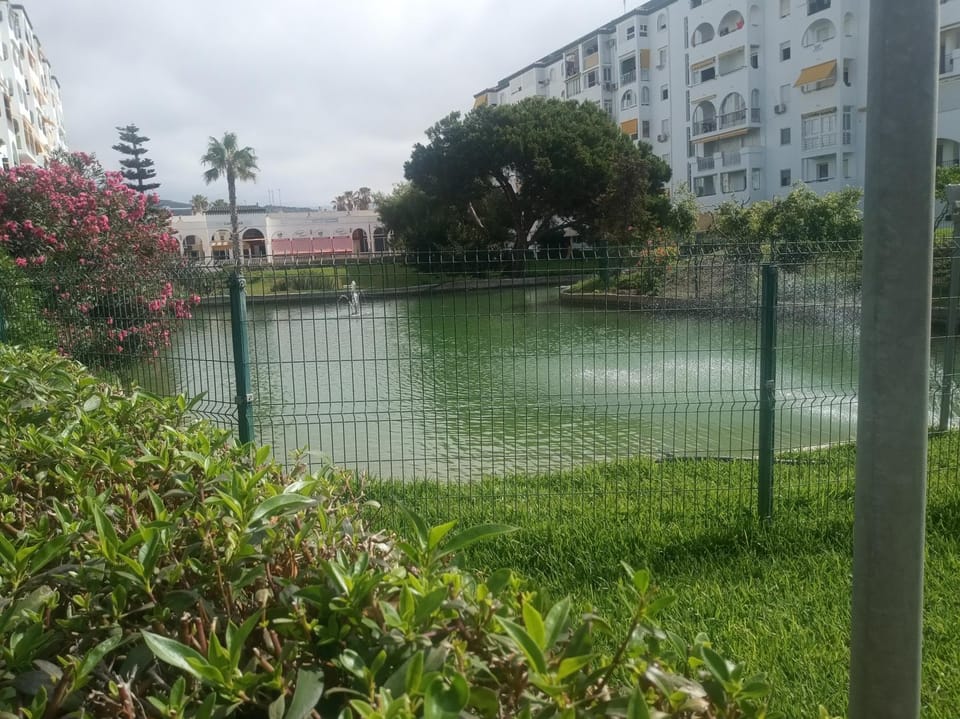 Garden, Garden