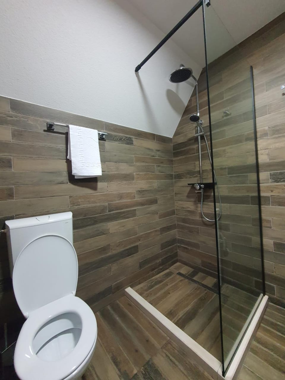 Shower, Toilet, Bathroom, towels