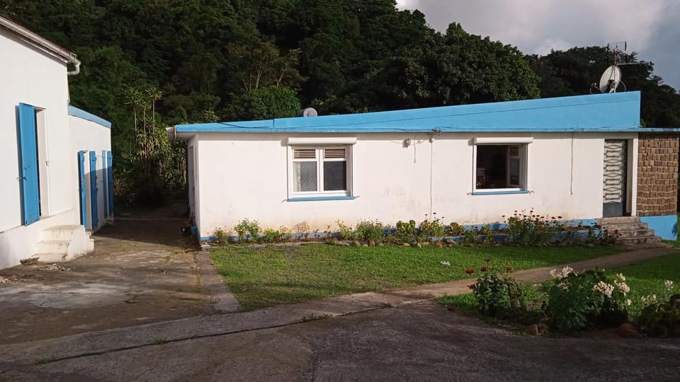 Property building, Garden, Garden view