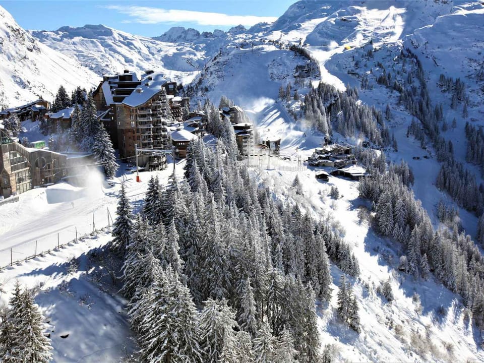 Charmant duplex lumineux avec balcon et vue montagne, connexion Internet - FR-1-314-164 Apartment in Avoriaz