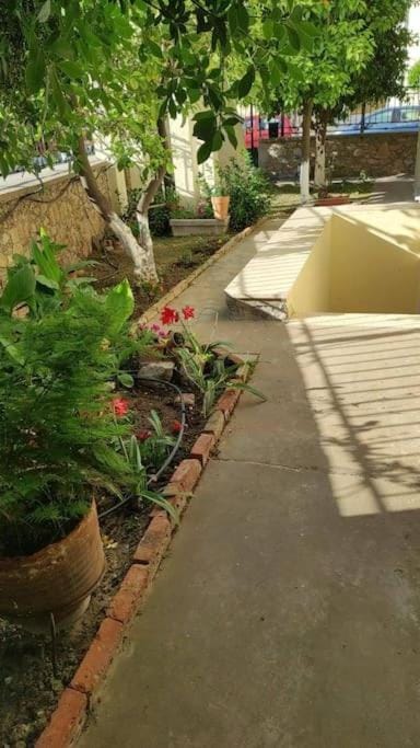 Garden, Garden
