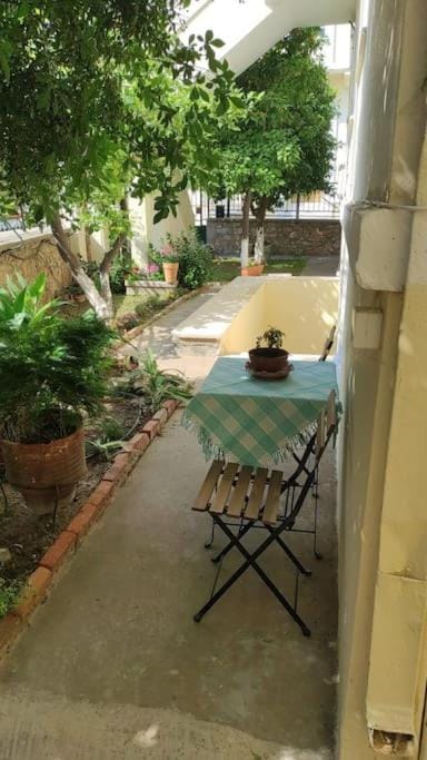 Garden, Garden