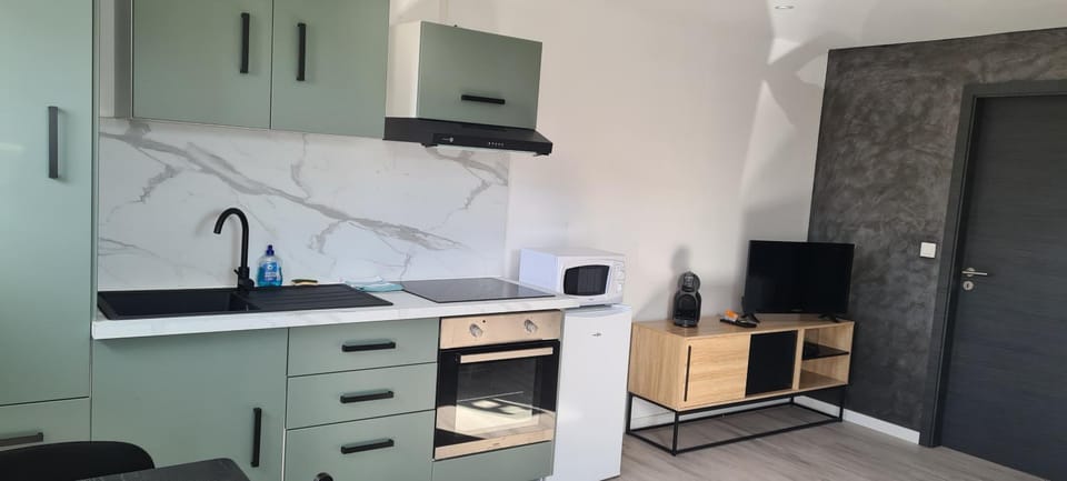 TV and multimedia, Kitchen or kitchenette, minibar, pet friendly