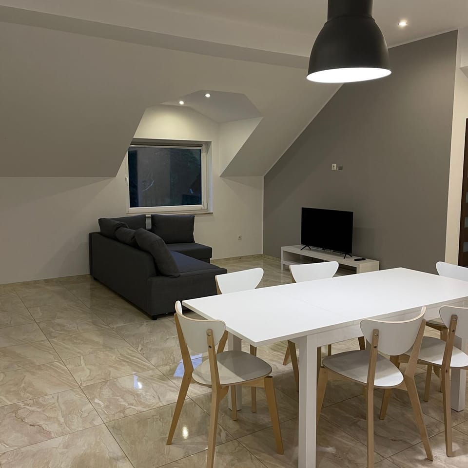 Przestronny Apartament Apartment in Lower Silesian Voivodeship