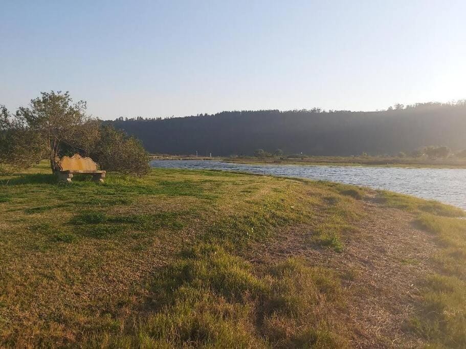 Natural landscape, Garden, Lake view, River view