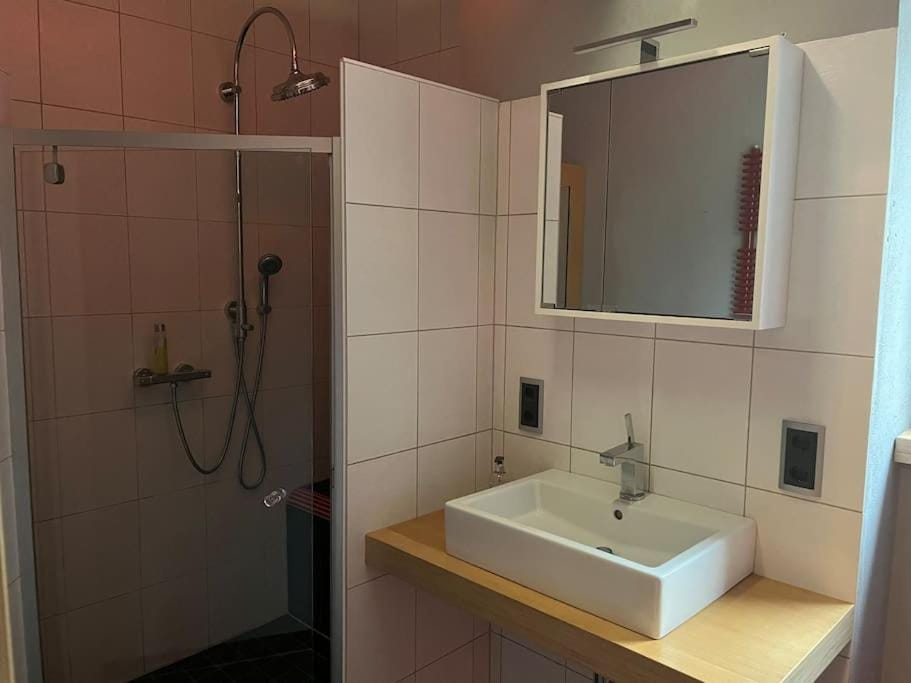 Schöne Wohnung mit Gartennutzung Apartment in Kaiserslautern