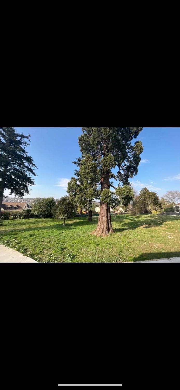 Au cœur de Chessy Apartment in Chessy