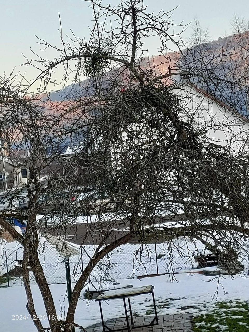 Winter