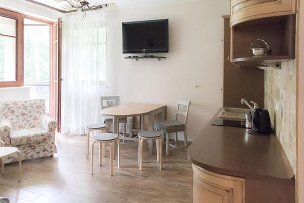 TV and multimedia, Kitchen or kitchenette, Living room, Seating area, Dining area, minibar