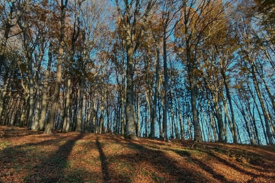 Nearby landmark, Natural landscape