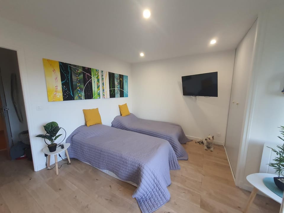 Studio Amèlie les bains Apartment in Alt Empordà