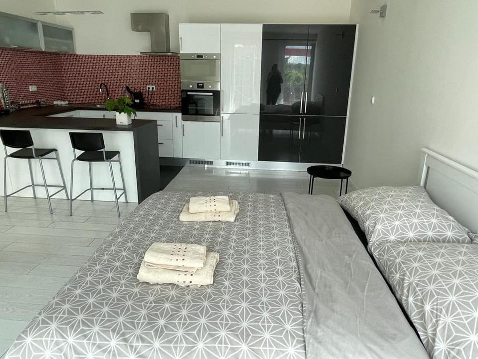 Bed, Kitchen or kitchenette, Photo of the whole room, Bedroom, pet friendly