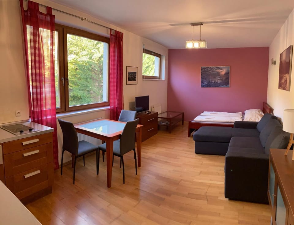 Bed, Kitchen or kitchenette, Photo of the whole room, Seating area, Dining area, hair dresser
