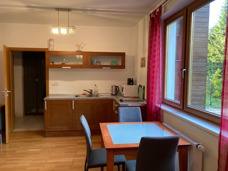 Kitchen or kitchenette, minibar, stove, toaster