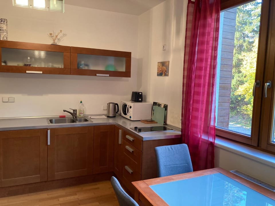 Kitchen or kitchenette, minibar, stove