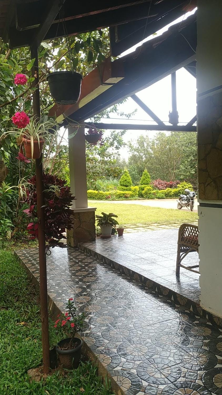 Spring, Day, View (from property/room), Garden view