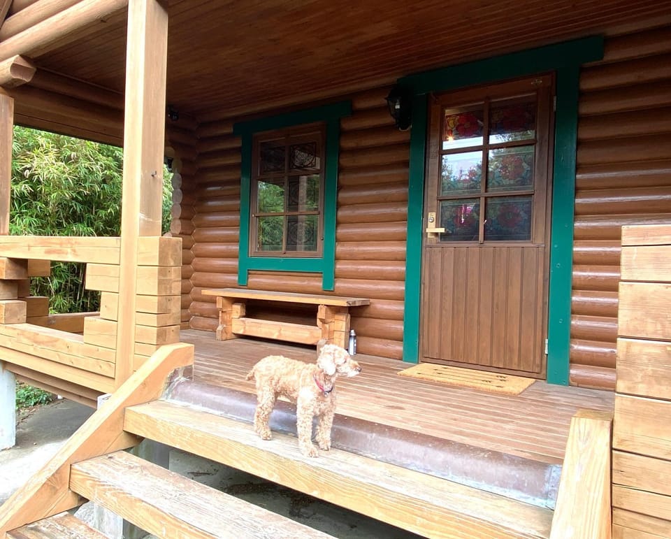 Property building, Pets