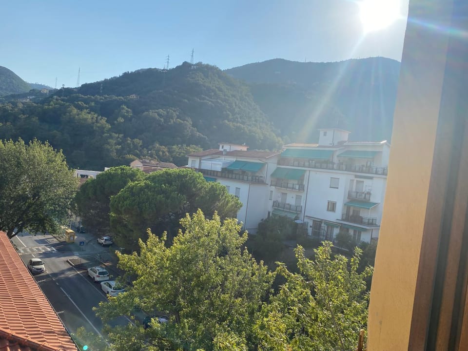 View (from property/room)