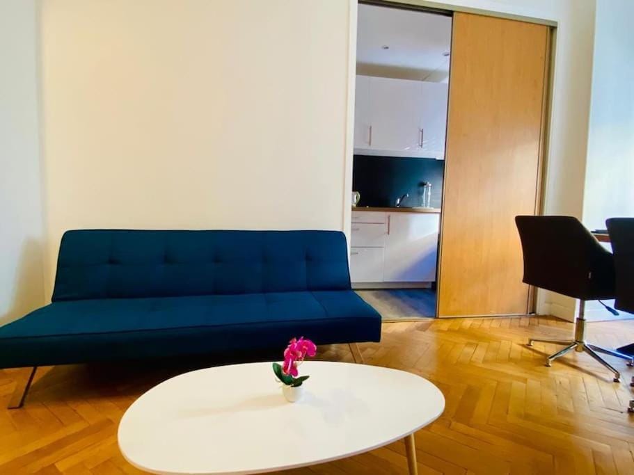 Coeur de Nice emplacement idéal Apartment in Nice