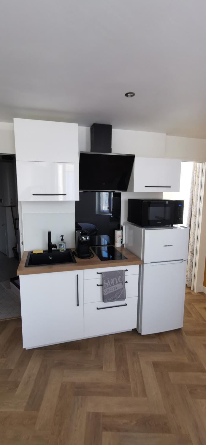 Coffee/tea facilities, Kitchen or kitchenette, minibar, pet friendly