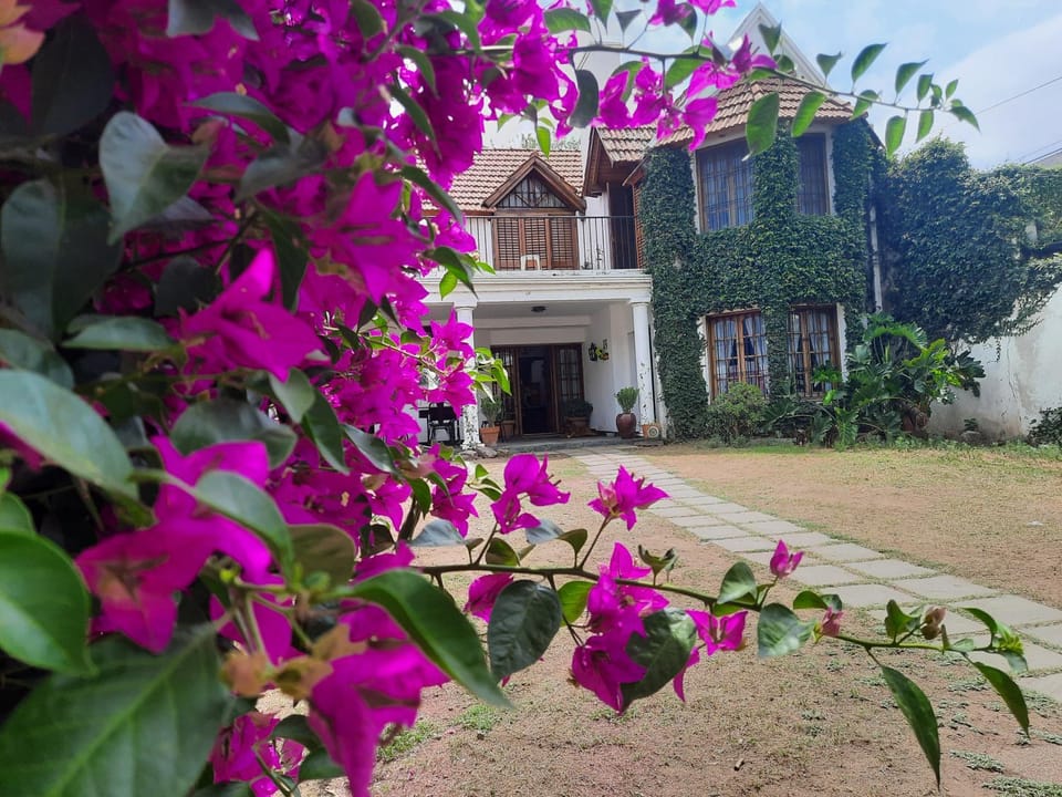 Property building, Garden