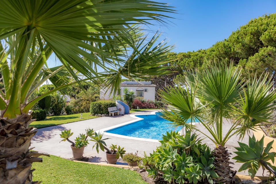 Spring, Day, Natural landscape, Garden, Pool view