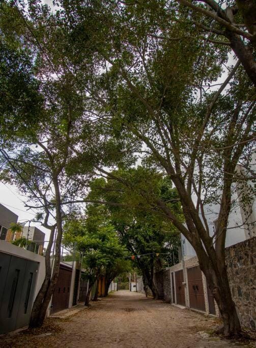 ¡Nueva! Bamboo La Guayaba (Alberca & Descanso) House in Jiutepec