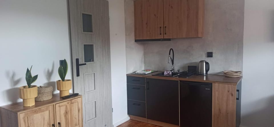 Coffee/tea facilities, Kitchen or kitchenette, stove