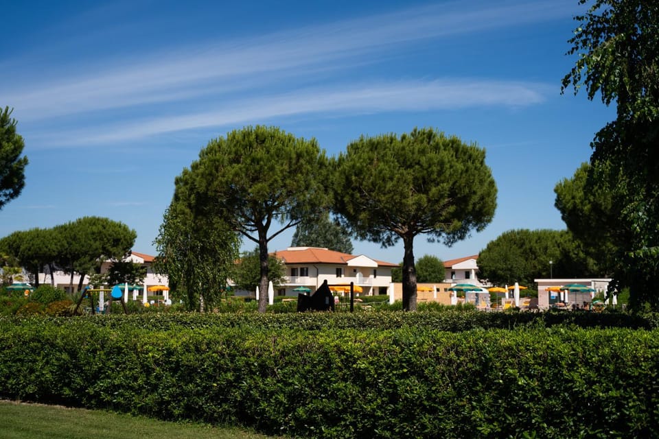 Property building, Summer, Garden