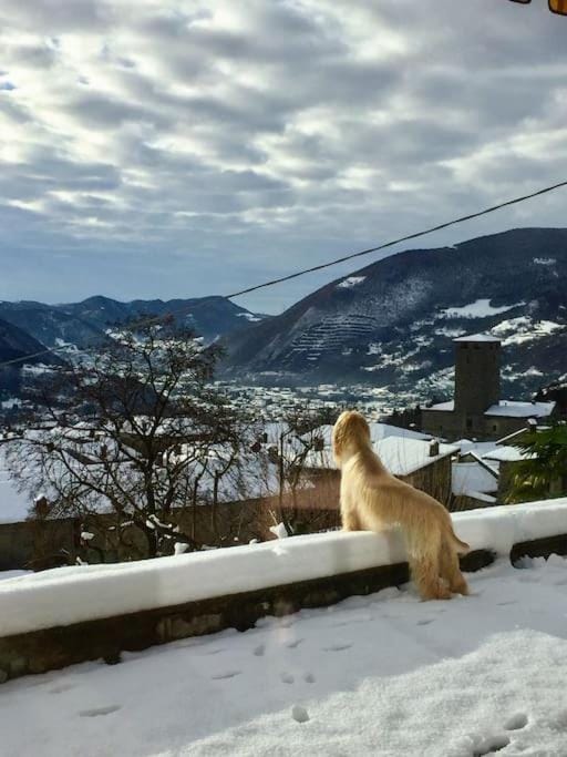 Casa Vacanza SK Apartment in Province of Brescia