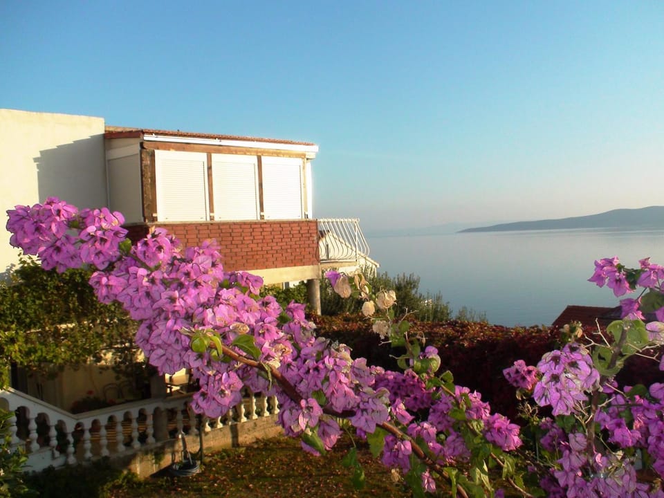 Sea view, Area and facilities