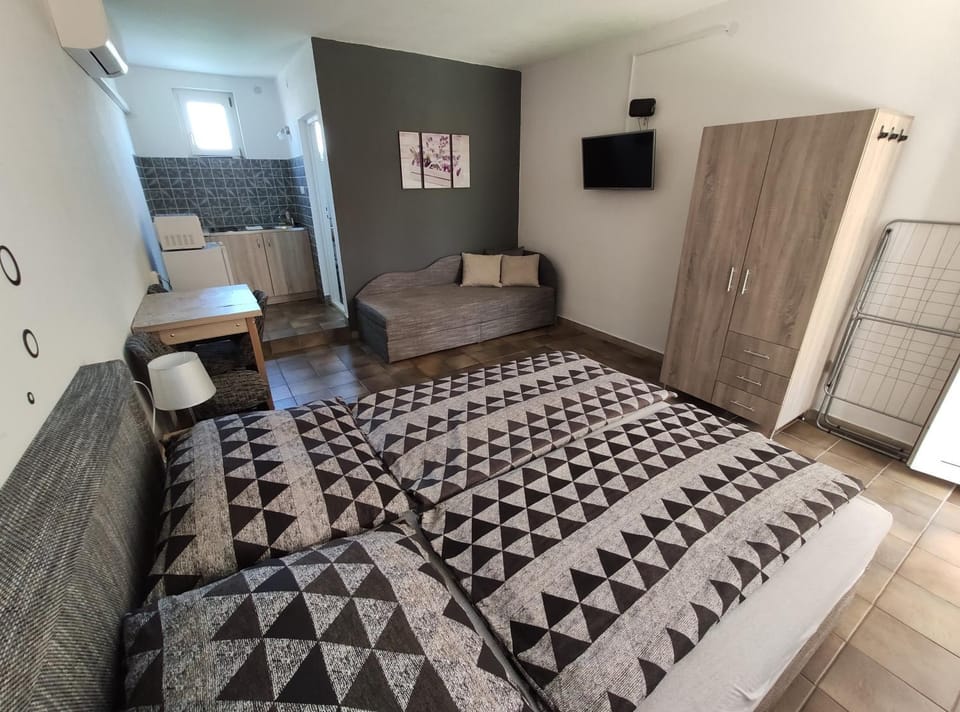Bed, TV and multimedia, Kitchen or kitchenette, Photo of the whole room, air conditioner