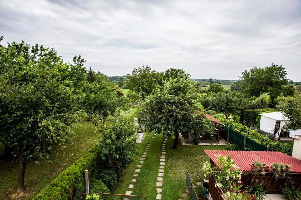 Garden, Garden view