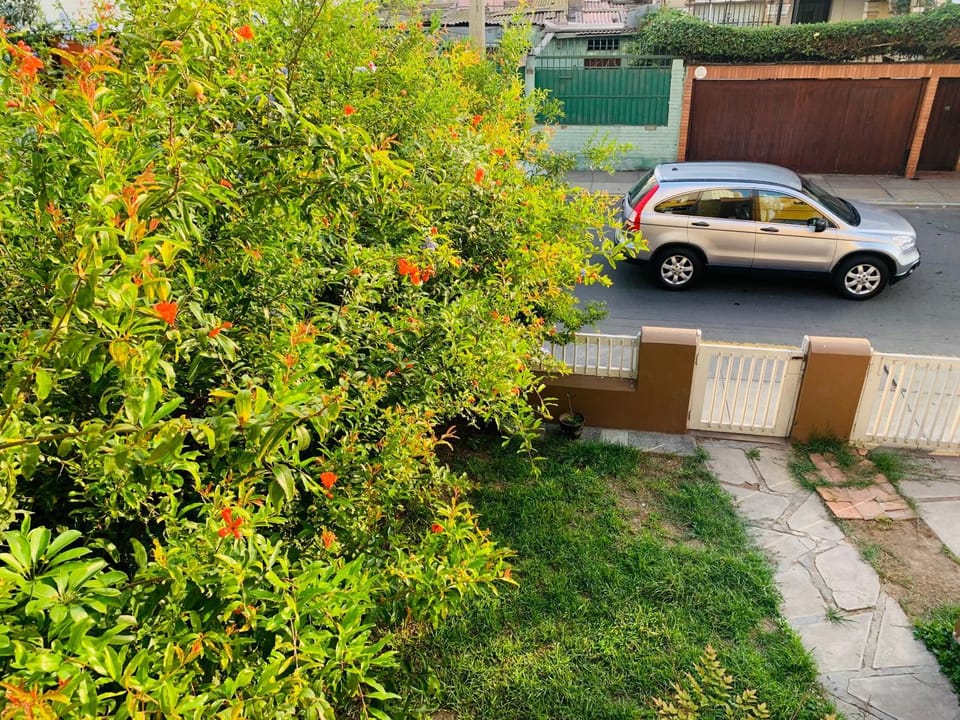 Garden, Garden view