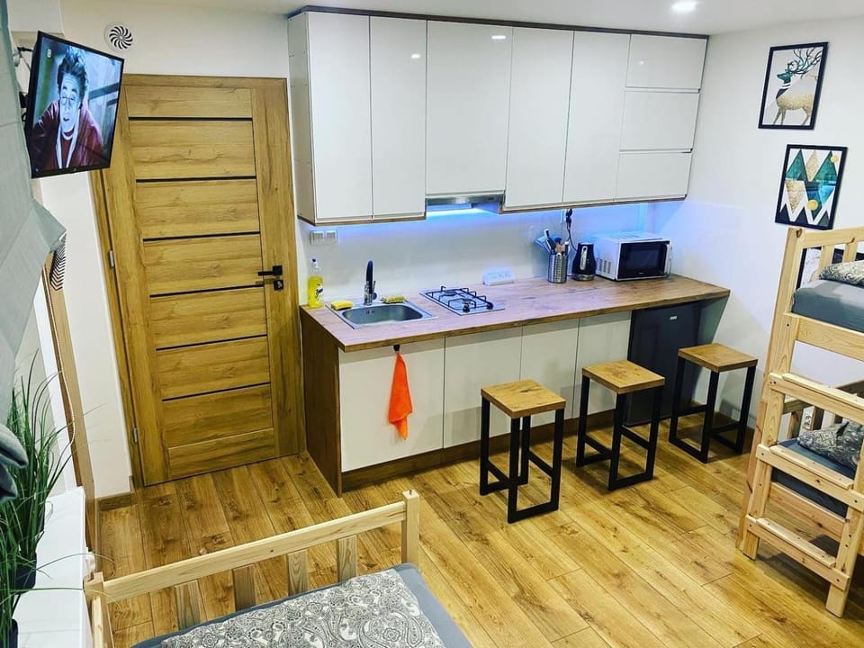 Kitchen or kitchenette, hair dresser, minibar