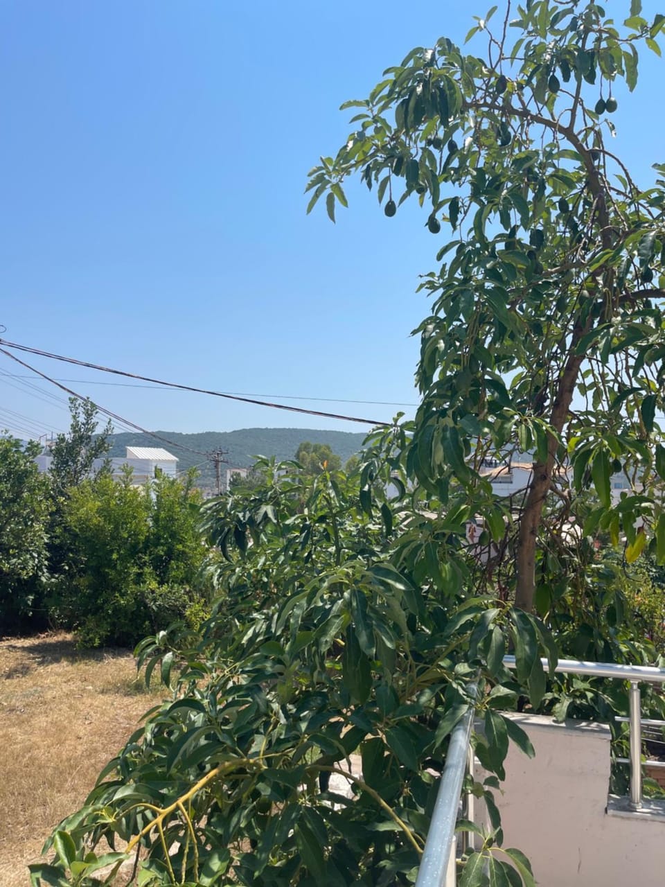 Vila Athina House in Ksamil