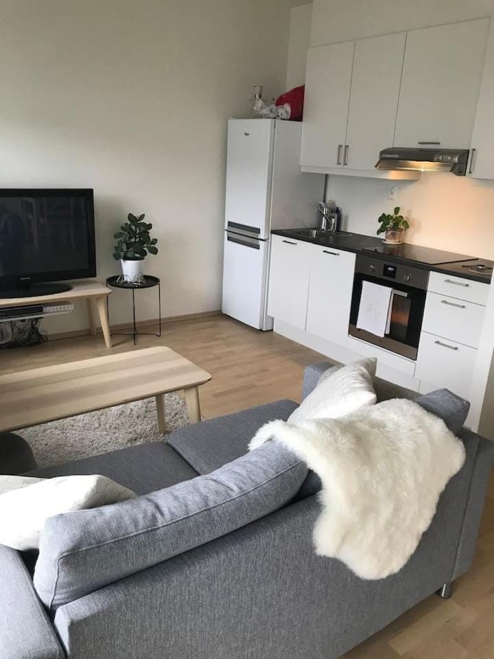 1-bed for 2 pers Central in Lillestrøm Apartment in Viken, Norway