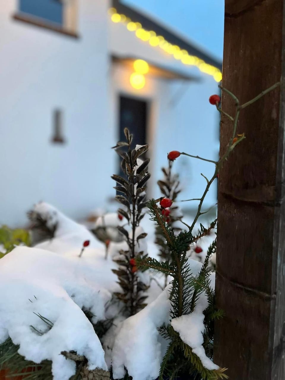 Property building, Day, Winter