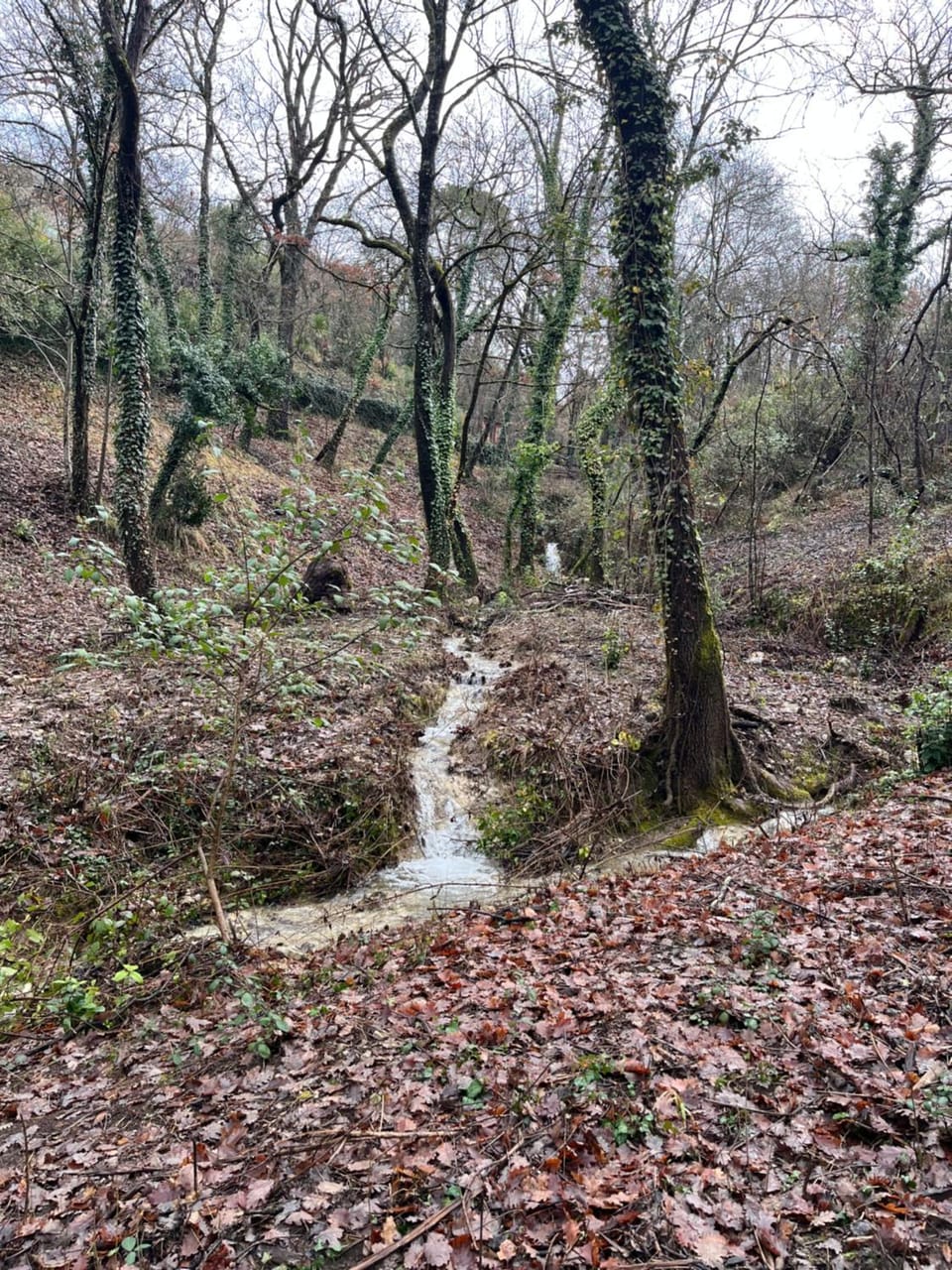 Mas ancien dans la nature, piscine privée, chauffé de mois d'avril House in Provence