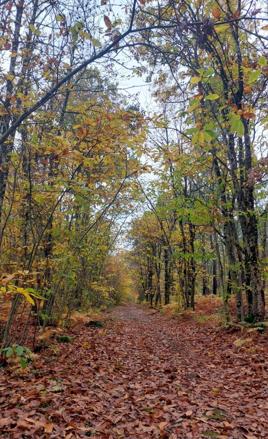 Hiking