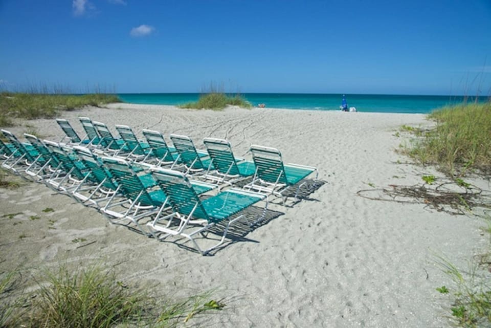 Day, Beach