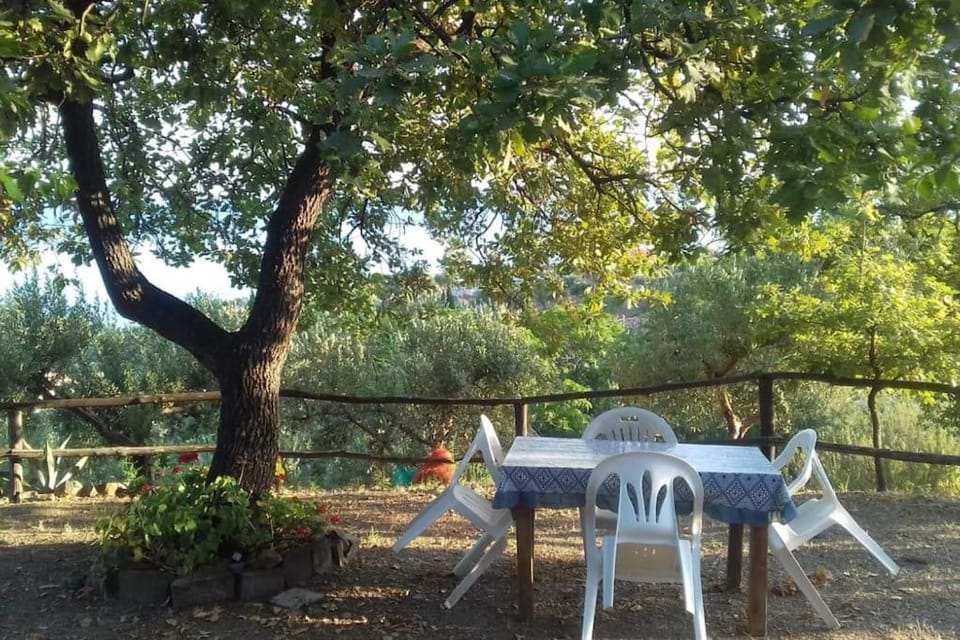 Day, Natural landscape, Garden, Garden view