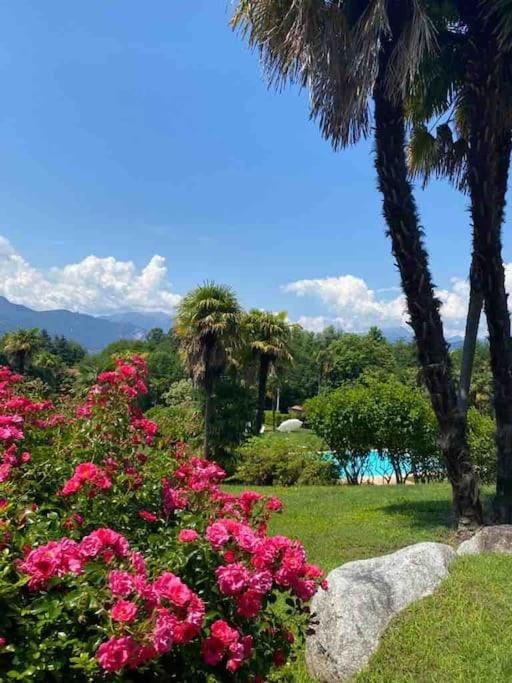 Sém Chi, the oasis on the lake Apartment in Canton of Ticino