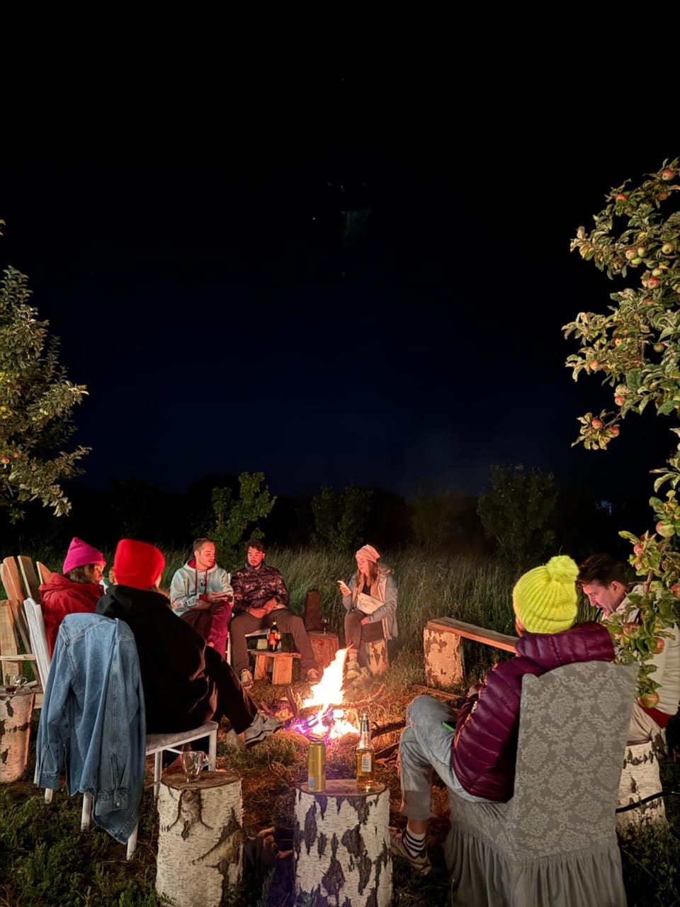 Night, People, BBQ facilities, group of guests