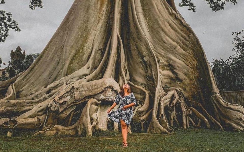 Nearby landmark, Day, Natural landscape, Guests