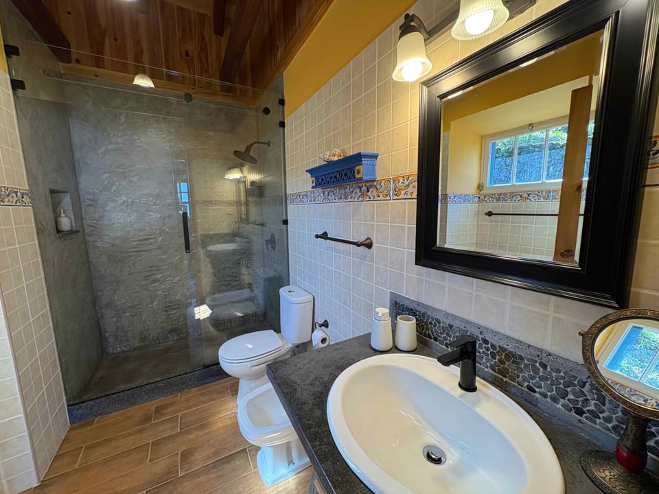 Shower, Toilet, Bathroom, bidet
