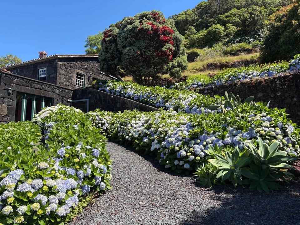 Garden, Garden view